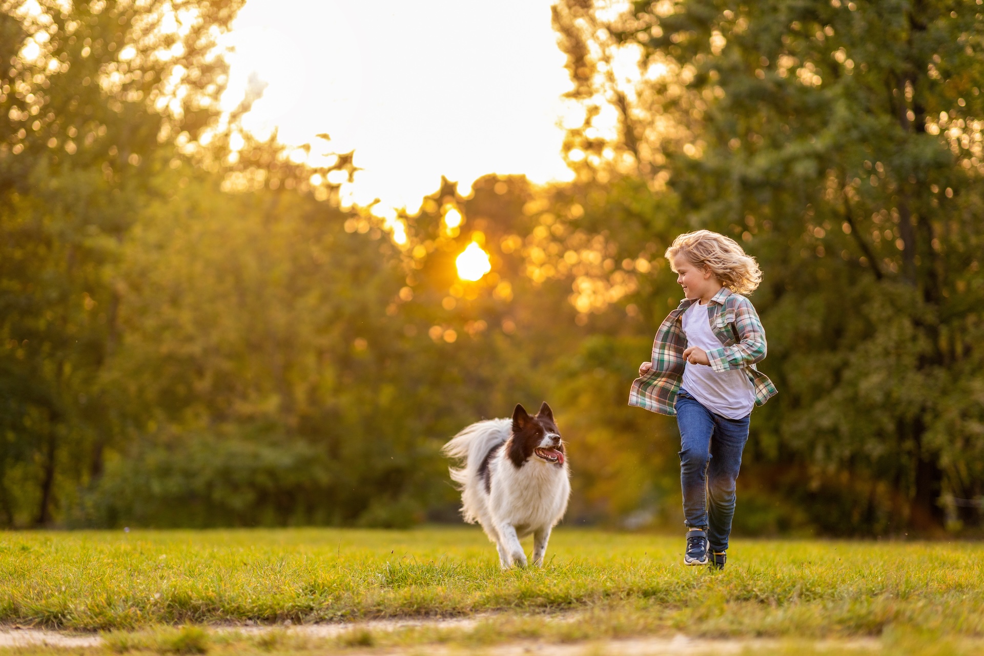 AdobeStock_381415216